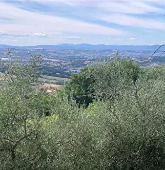 Foto annuncio 34