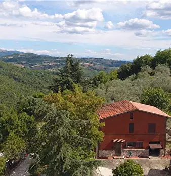 Foto annuncio 7