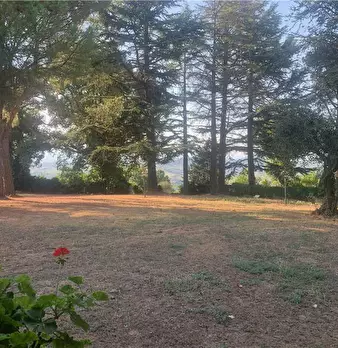 Foto annuncio 25