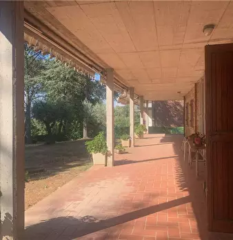 Foto annuncio 26