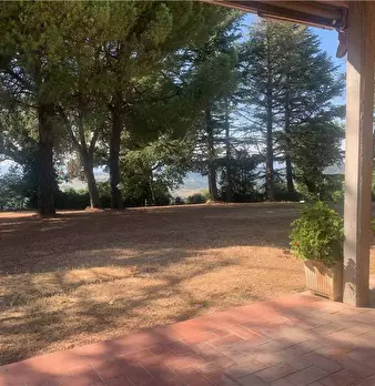Foto annuncio 27