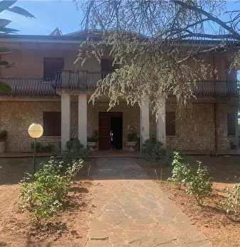 Foto annuncio 28
