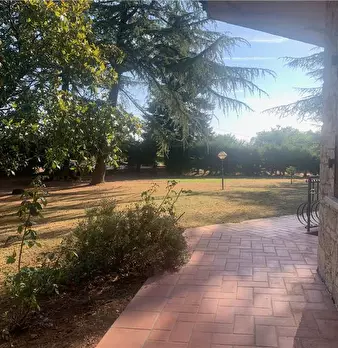 Foto annuncio 32