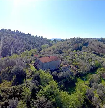 Foto annuncio 1