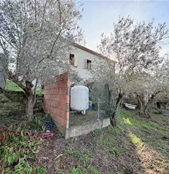 Foto annuncio 10