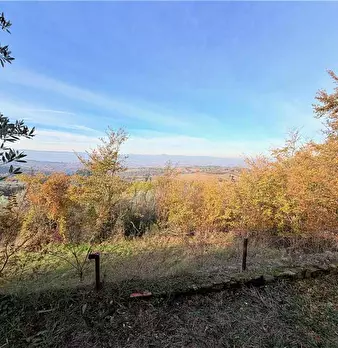 Foto annuncio 11