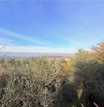 Foto annuncio 12