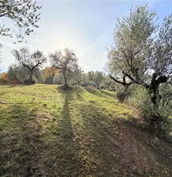 Foto annuncio 14