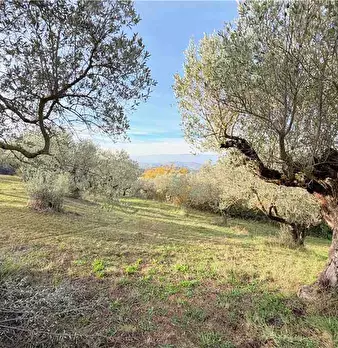 Foto annuncio 15
