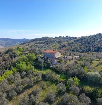 Foto annuncio 3