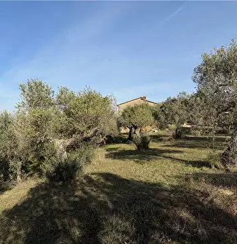 Foto annuncio 6