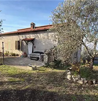 Foto annuncio 9