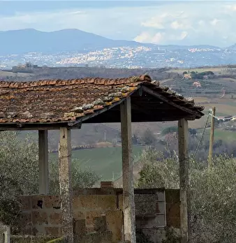 Foto annuncio 4
