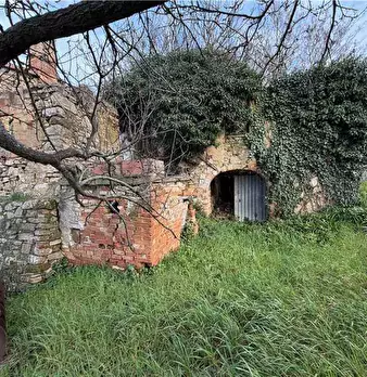 Foto annuncio 8