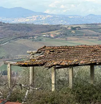 Foto annuncio 9