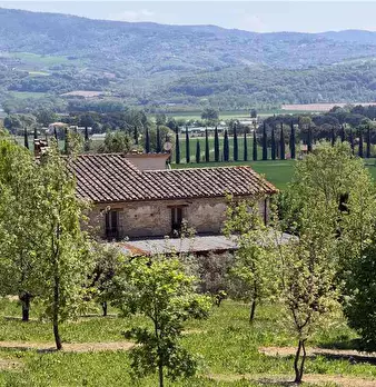 Foto annuncio 3