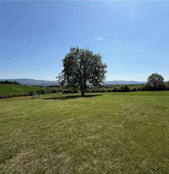 Foto annuncio 33