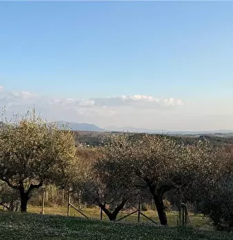 Foto annuncio 18