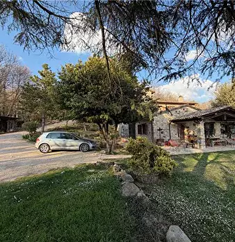 Foto annuncio 20