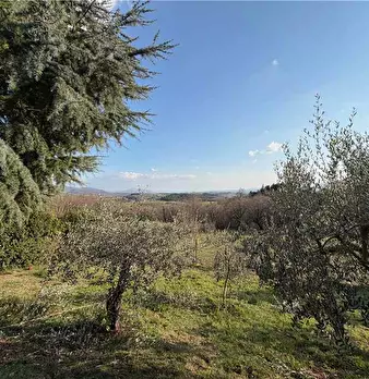 Foto annuncio 22