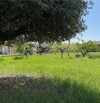 Foto annuncio 23