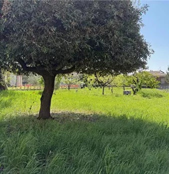 Foto annuncio 24