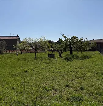 Foto annuncio 25