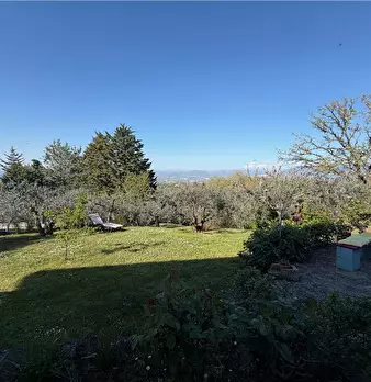 Foto annuncio 31