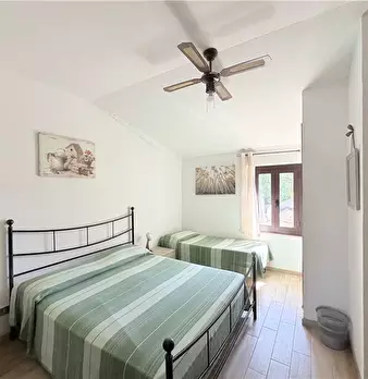 Foto annuncio 21