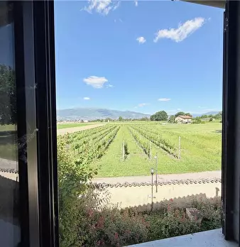Foto annuncio 31