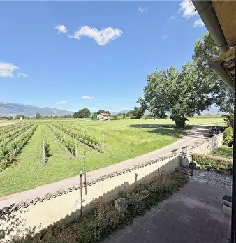 Foto annuncio 33