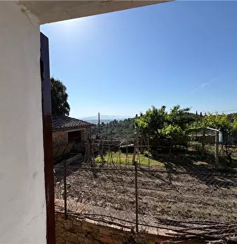 Foto annuncio 23