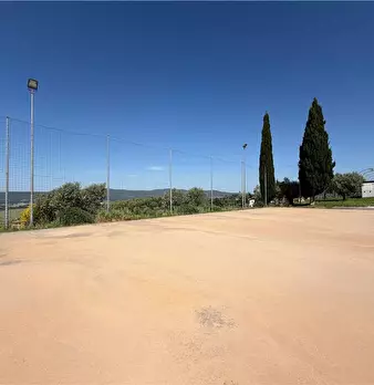 Foto annuncio 26