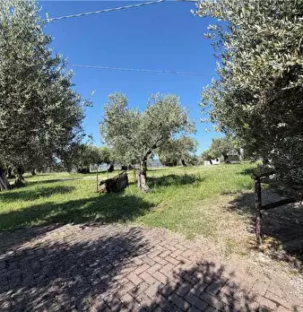 Foto annuncio 30
