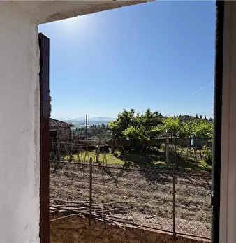 Foto annuncio 31