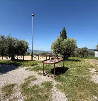 Foto annuncio 33