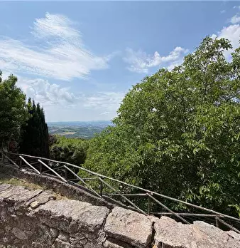 Foto annuncio 25