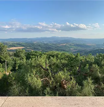 Foto annuncio 22
