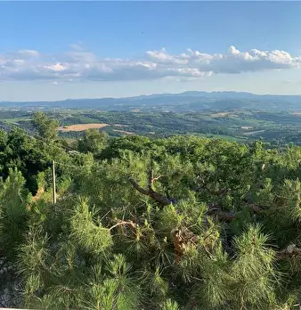 Foto annuncio 23