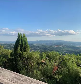 Foto annuncio 24