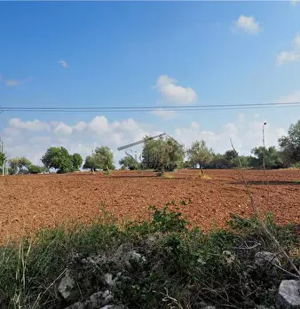 Foto annuncio 2