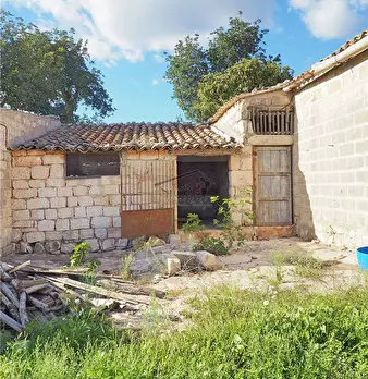 Foto annuncio 4