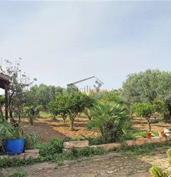 Foto annuncio 4