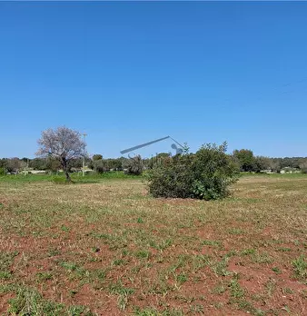 Foto annuncio 12