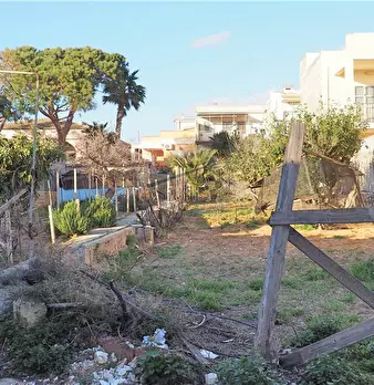 Foto annuncio 2