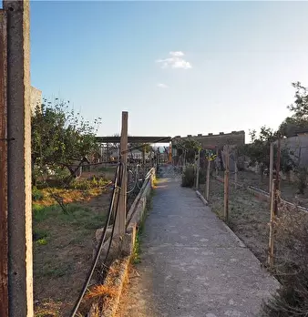 Foto annuncio 5