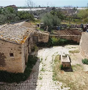Foto annuncio 5