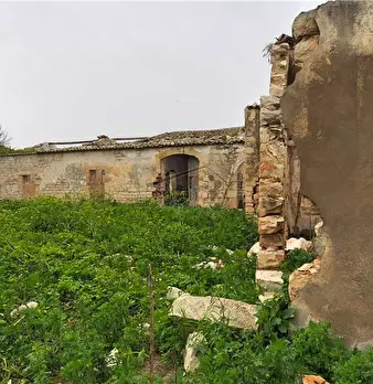 Foto annuncio 11