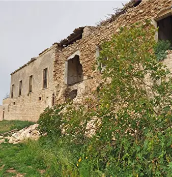 Foto annuncio 12