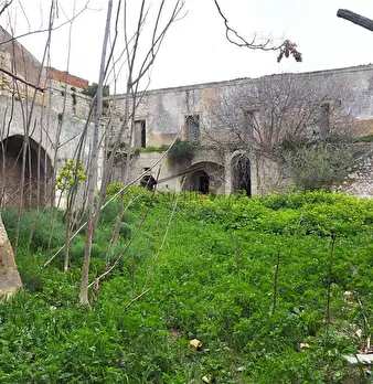 Foto annuncio 4